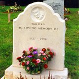 Devon Churchyard Memorials 11