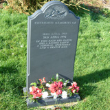 Devon Churchyard Memorials 19
