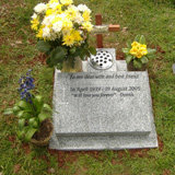 Devon Churchyard Memorials 08